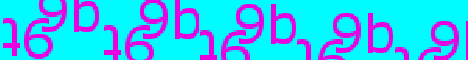 9b9t.com