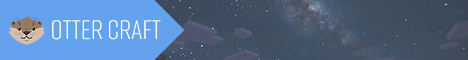 play.ottercraft.net