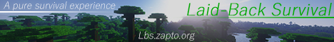 Lbs.zapto.org