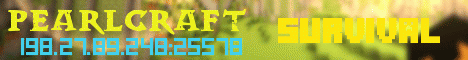 198.27.89.248:25578