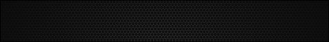 9b9t.com