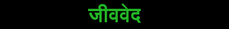 mc.jivaveda.com
