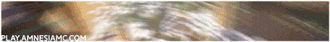 amnesiamc.com