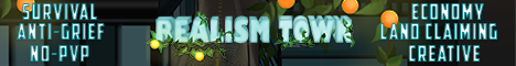 play.realismtownmc.com