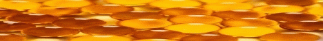 66.70.255.197:25668