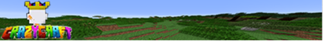 cc3.ddns.net:25571