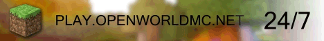 play.openworldmc.net