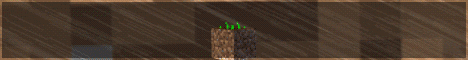 play.dirtmc.net