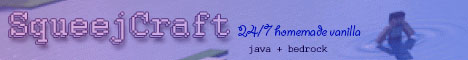 Squeejcraft.com