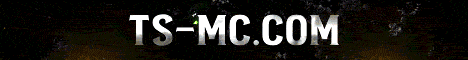 ts-mc.com