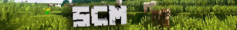 play.minecraftscm.com
