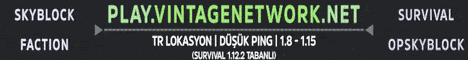 play.vintagenetwork.net