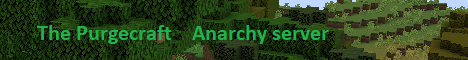 play.thepurgecraft.online