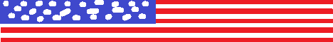 USAfreedom.minehut.gg