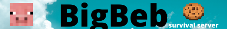 bigbeb.minehut.gg