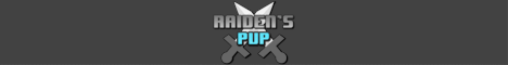 RaidensPvP.minehut.gg