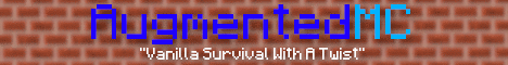 play.augmentedmc.net