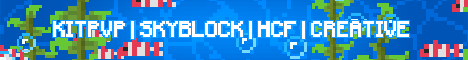 play.vraxilemc.com