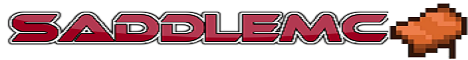 saddlemc.aternos.me