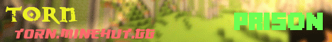 torn.minehut.gg
