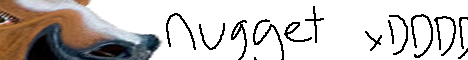 nuggetmc.net