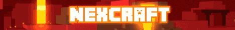 mc.teamnx.net