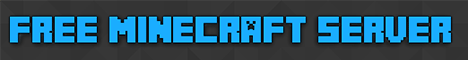mc.playerservers.com