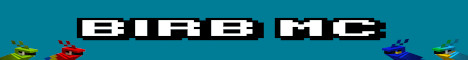 play.birbmc.com
