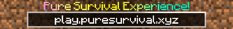 play.puresurvival.xyz