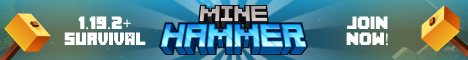 play.minehammer.com
