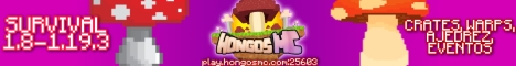play.hongosmc.com