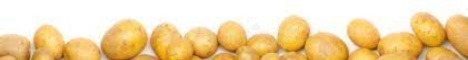 potatosmp.art:25569
