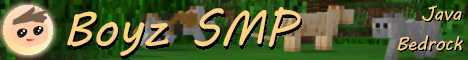 play.boyzsmp.cf
