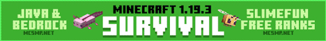 mcsmp.net