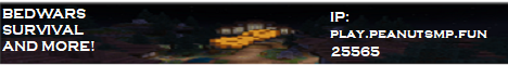 play.peanutsmp.fun