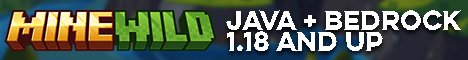 play.minewild.fun:25566