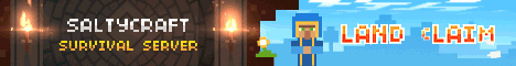 play.saltycraft.net
