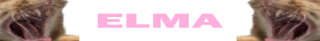 elma.mcpro.io