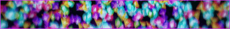 Flowers444.minehut.gg