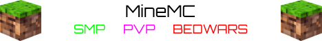 play.minemc.nl