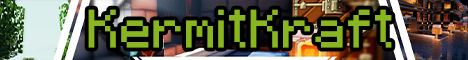 192.99.254.118:25621