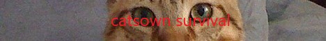 cattsown.aternos.me