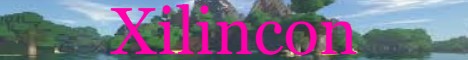 Xilincon.minehut.gg