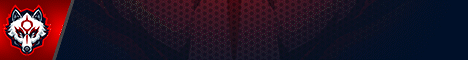 play.okamisquadron.com