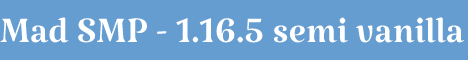 MadSMP12.minehut.gg
