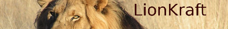 lionkraft.com