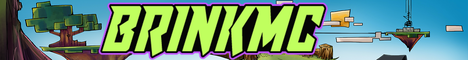 brinkmc.com