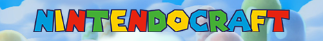 play.nintendocraft.net