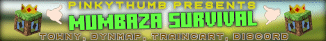 pinkythumb.apexmc.co