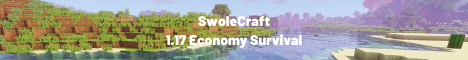 play.swolecraft.com